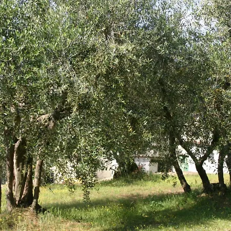 Belvilla By Oyo Casalini 2 * Romola